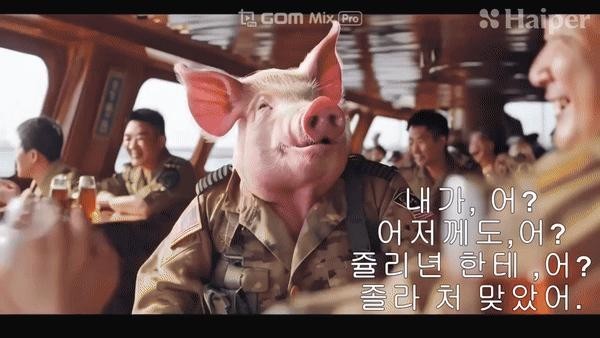 An American pig that goes on a rampage aboard a ship