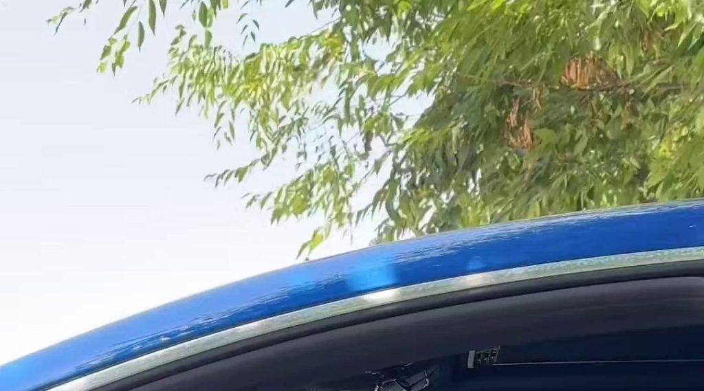 A woman in a gums cat pose in a car