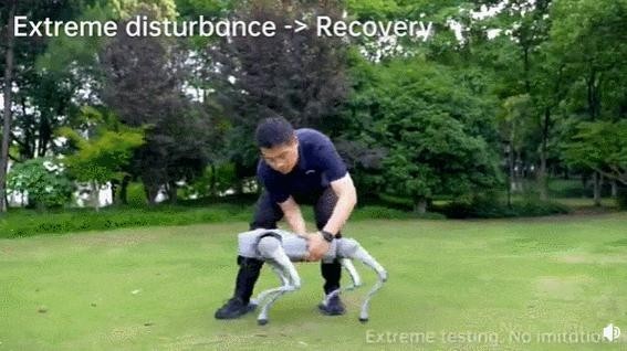 A four-legged robot that tumbles and does handstands.gif
