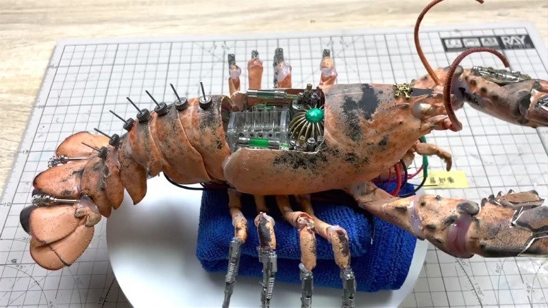 A mechanic made from the shell of a crustacean