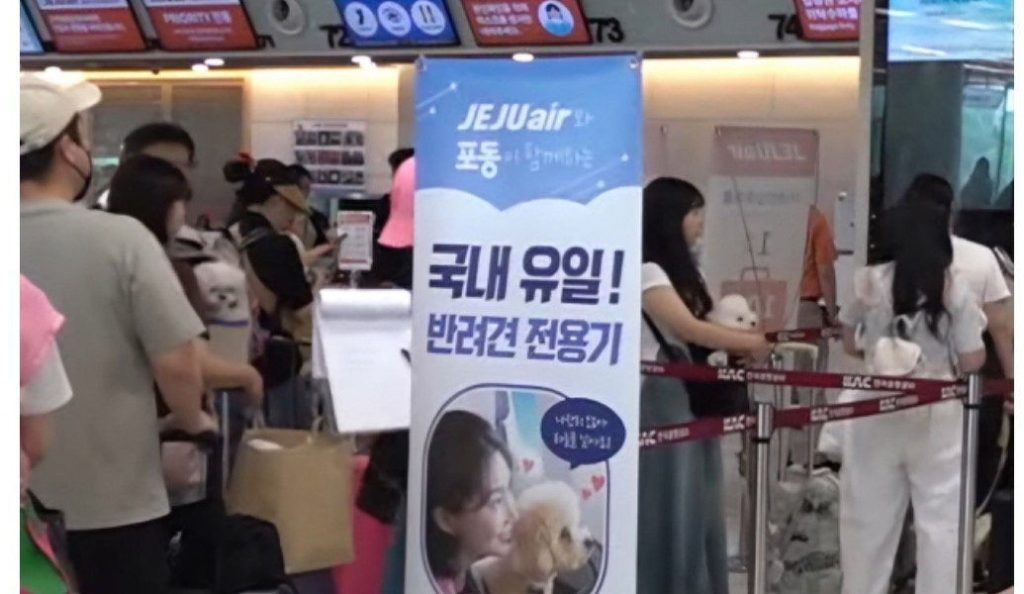 The round-trip flight to Jeju Island costs 750,000 won, but the seats are sold out.